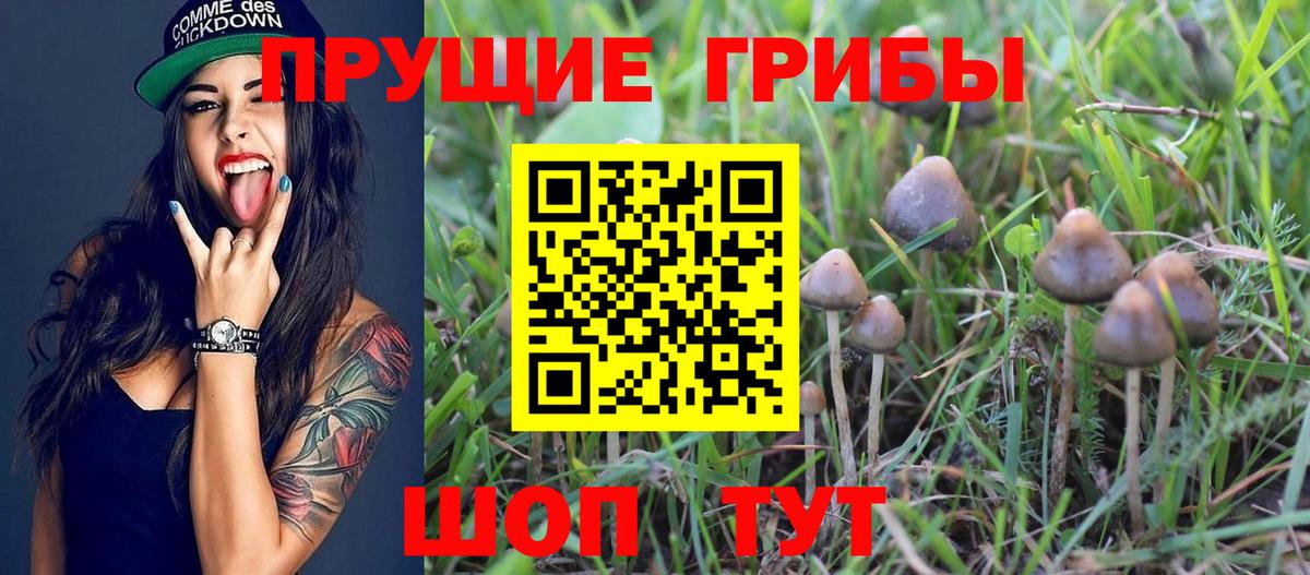 Еманжелинск  где можно купить   Вход с VPN  Псилоцибиновые грибы мицелий 